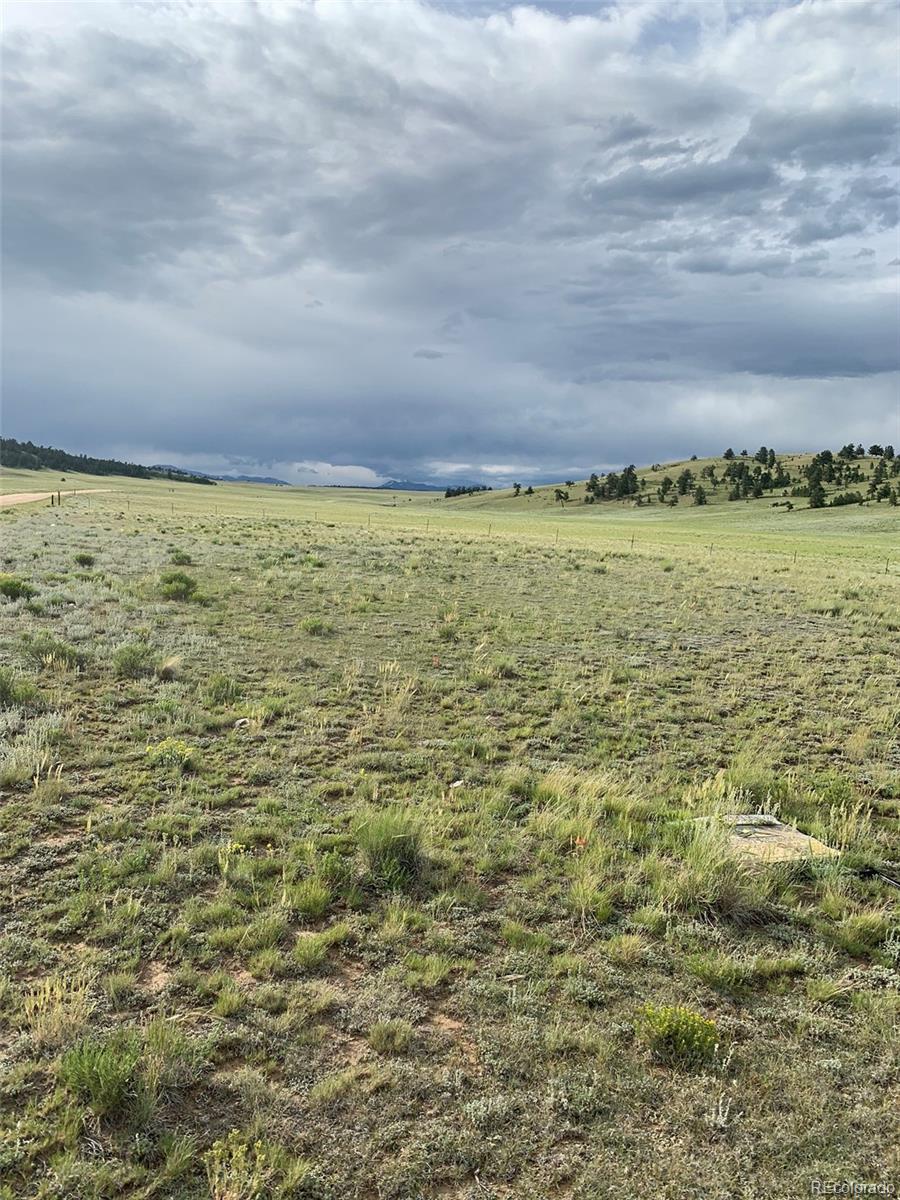 6298 Elkhorn Road Hartsel, CO 80449 - Photo 9 of 9