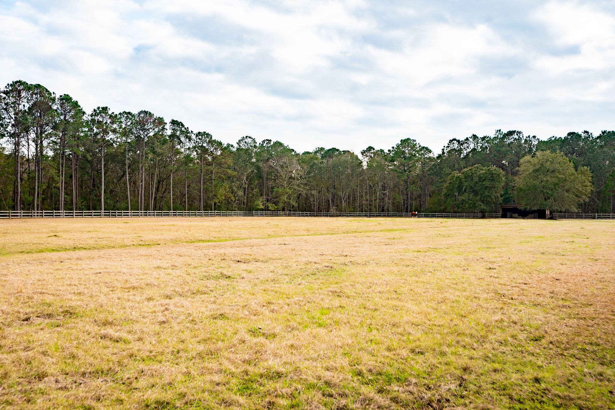 22 Longmarsh Road Awendaw, SC 29429 - Photo 40 of 41 Equestrian Facilities