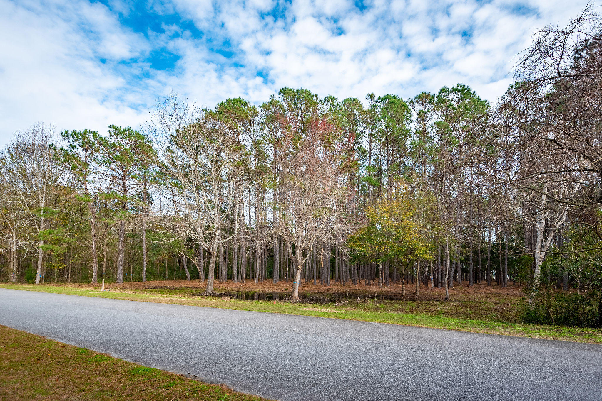 22 Longmarsh Road Awendaw, SC 29429 - Photo 10 of 41 22 Longmarsh