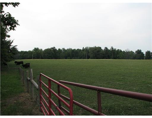 0 Buckland-holden Road Waynesfield, OH 45896 - Photo 4 of 6