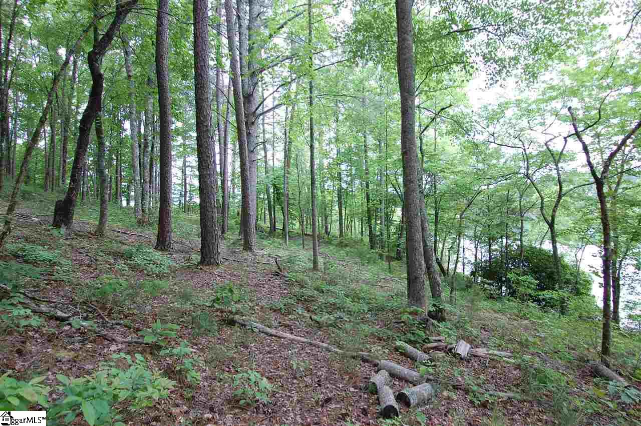 130 Crooked Beech Road, Unit HOMESITE L17 Sunset, SC 29685 - Photo 7 of 7 Gallery Image 7
