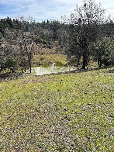 4831 Ringold Road Diamond Springs, CA 95619 - Photo 4 of 17
