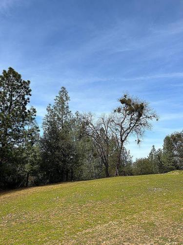 4831 Ringold Road Diamond Springs, CA 95619 - Photo 5 of 17