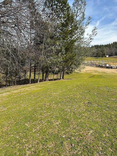 4831 Ringold Road Diamond Springs, CA 95619 - Photo 7 of 17