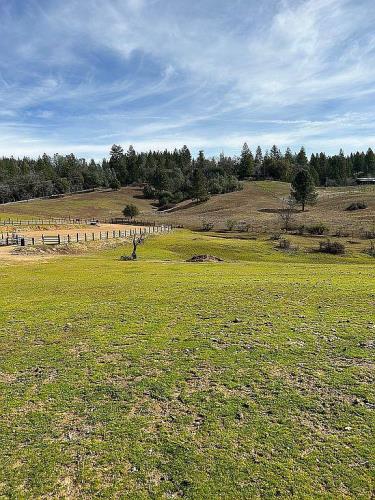 4831 Ringold Road Diamond Springs, CA 95619 - Photo 8 of 17