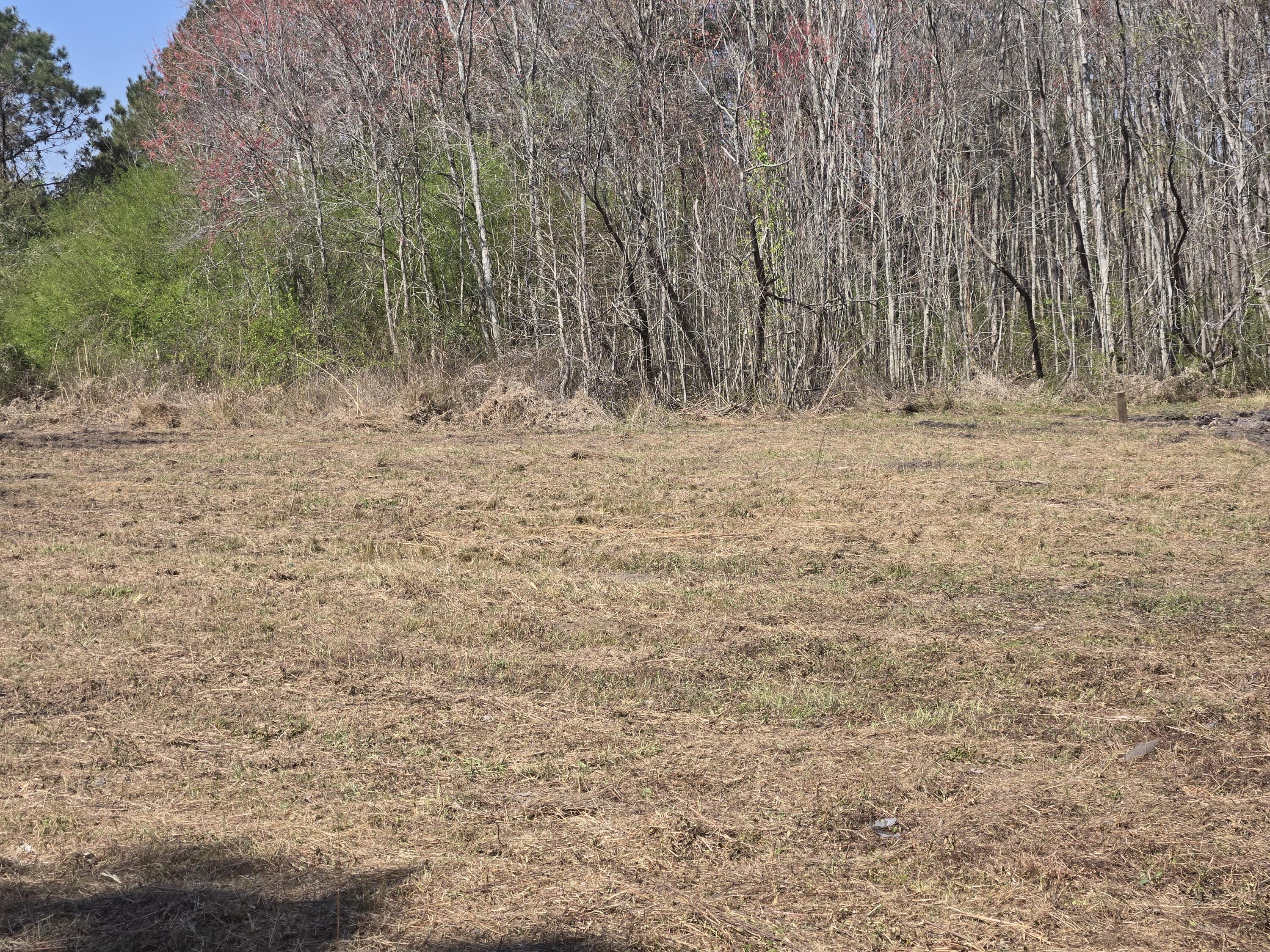 0 Drain Road Smoaks, SC 29481 - Photo 2 of 4