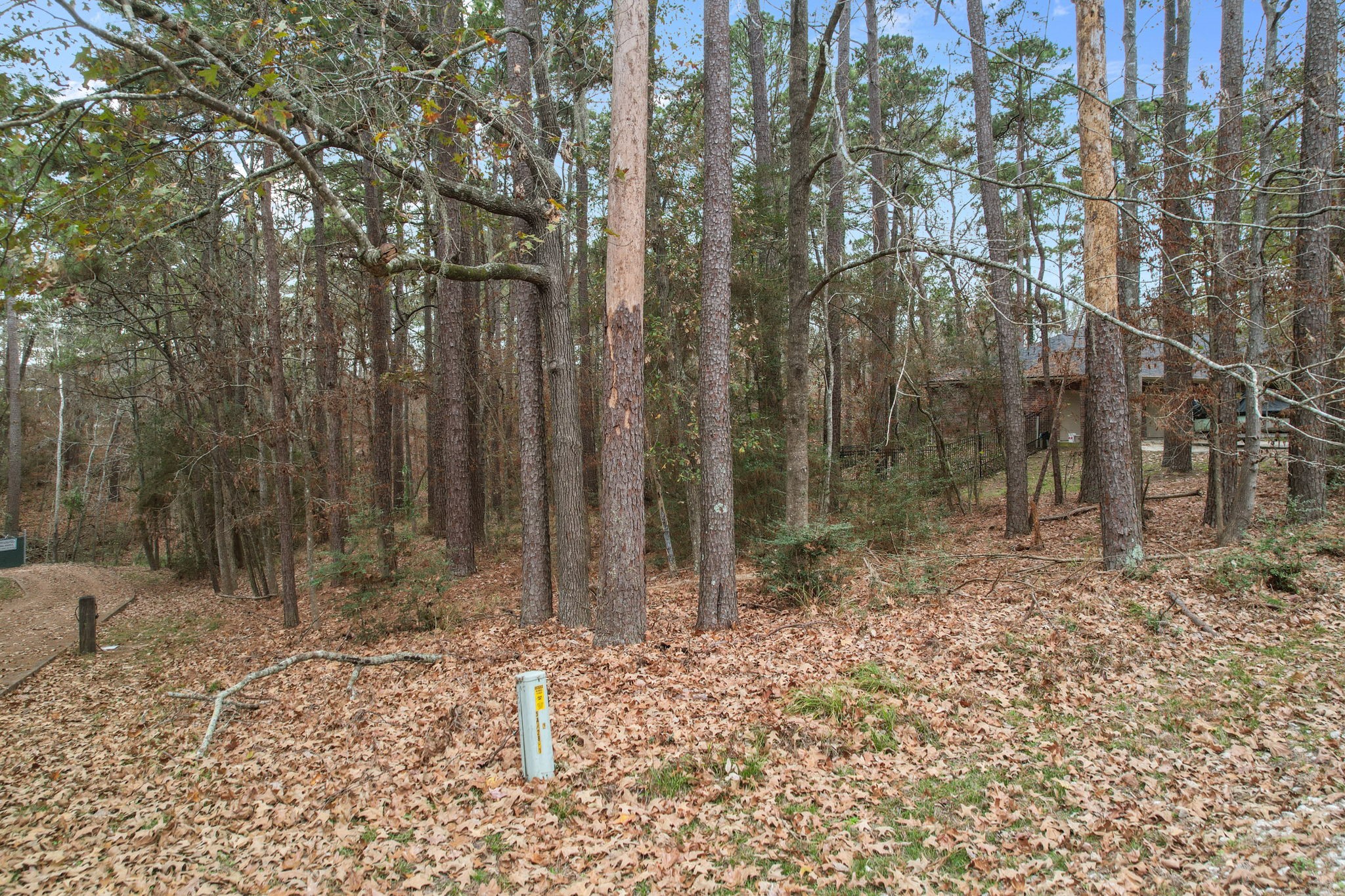a backyard of a house with lots of green space