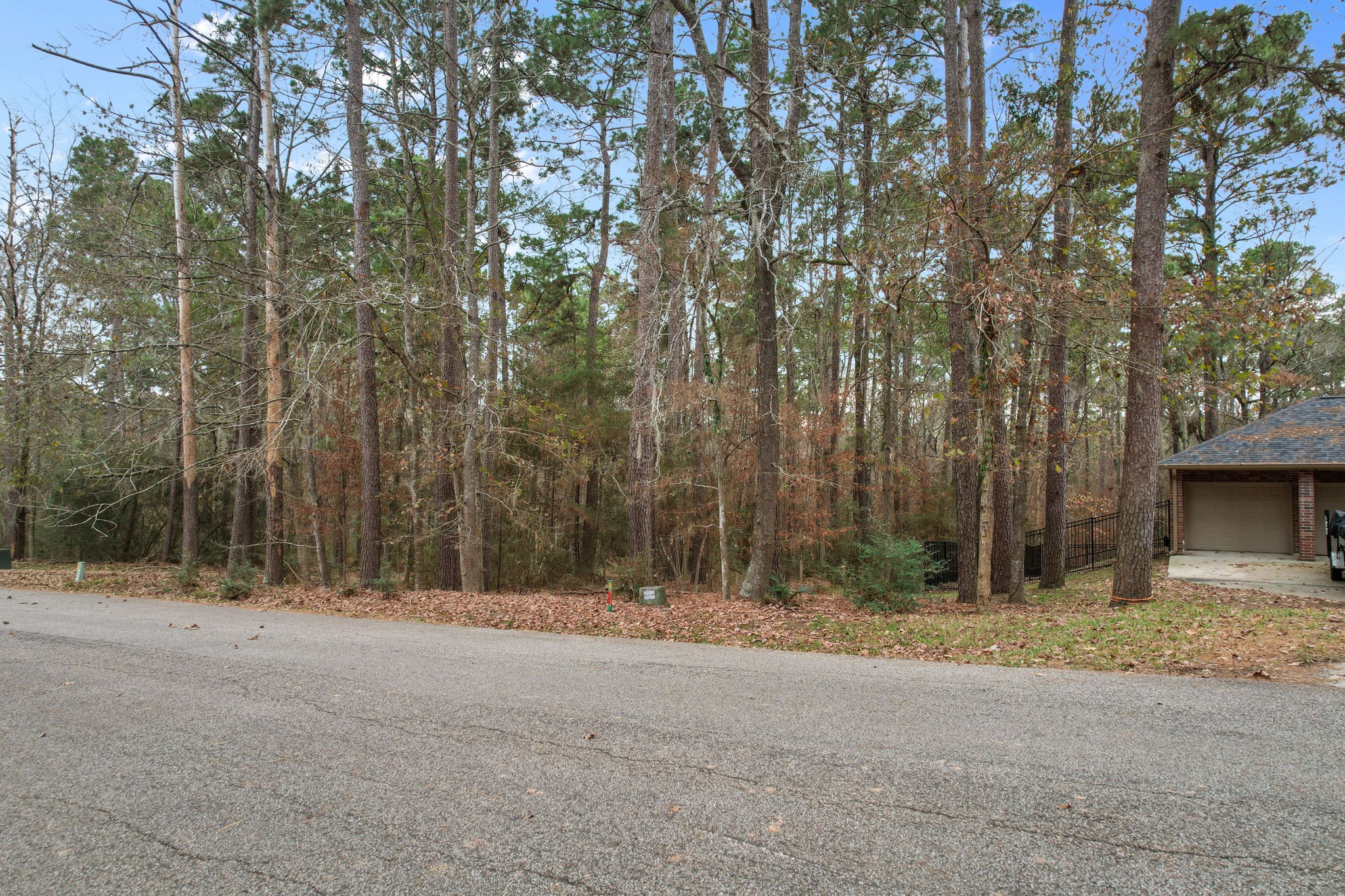 219 Kings Way Coldspring, TX 77331 - Photo 3 of 12 a view of outdoor space and trees