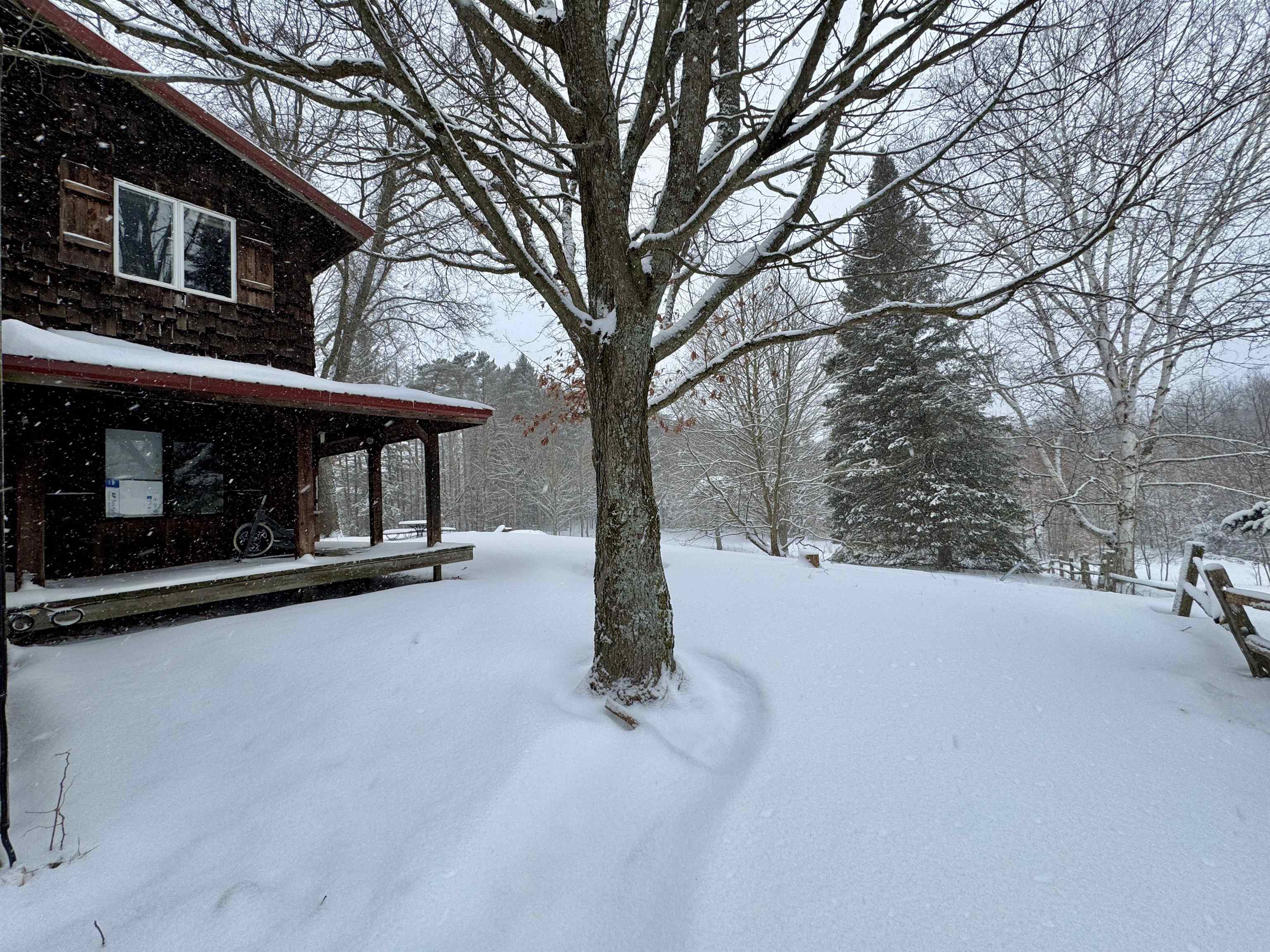5474 Lake Road Fife Lake, MI 49633 - Photo 40 of 49 1941394-80387fc9-f7d0-4ce8-b141-ea1aa5ae44b8.JPG