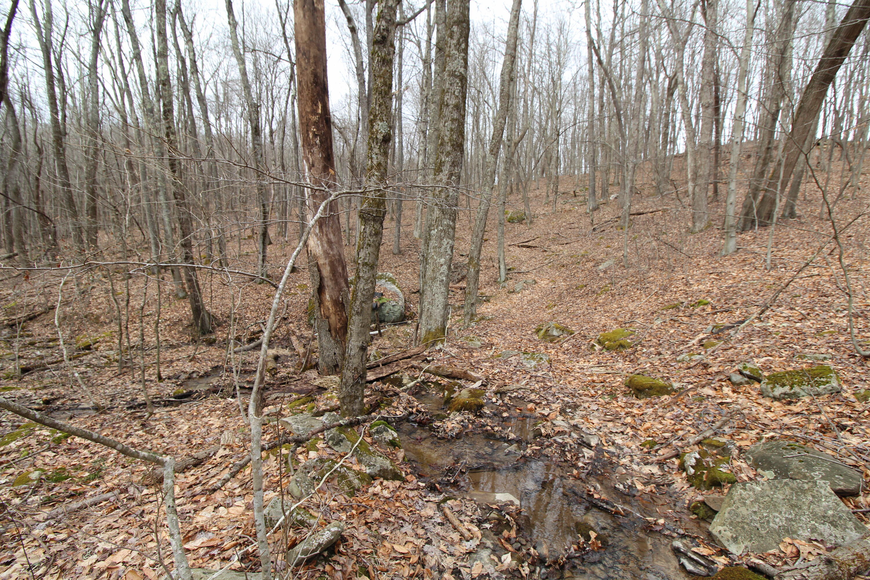 1357 Chestnut Mountain Road Hinton, WV 25951 - Photo 31 of 32 Gallery Image 31