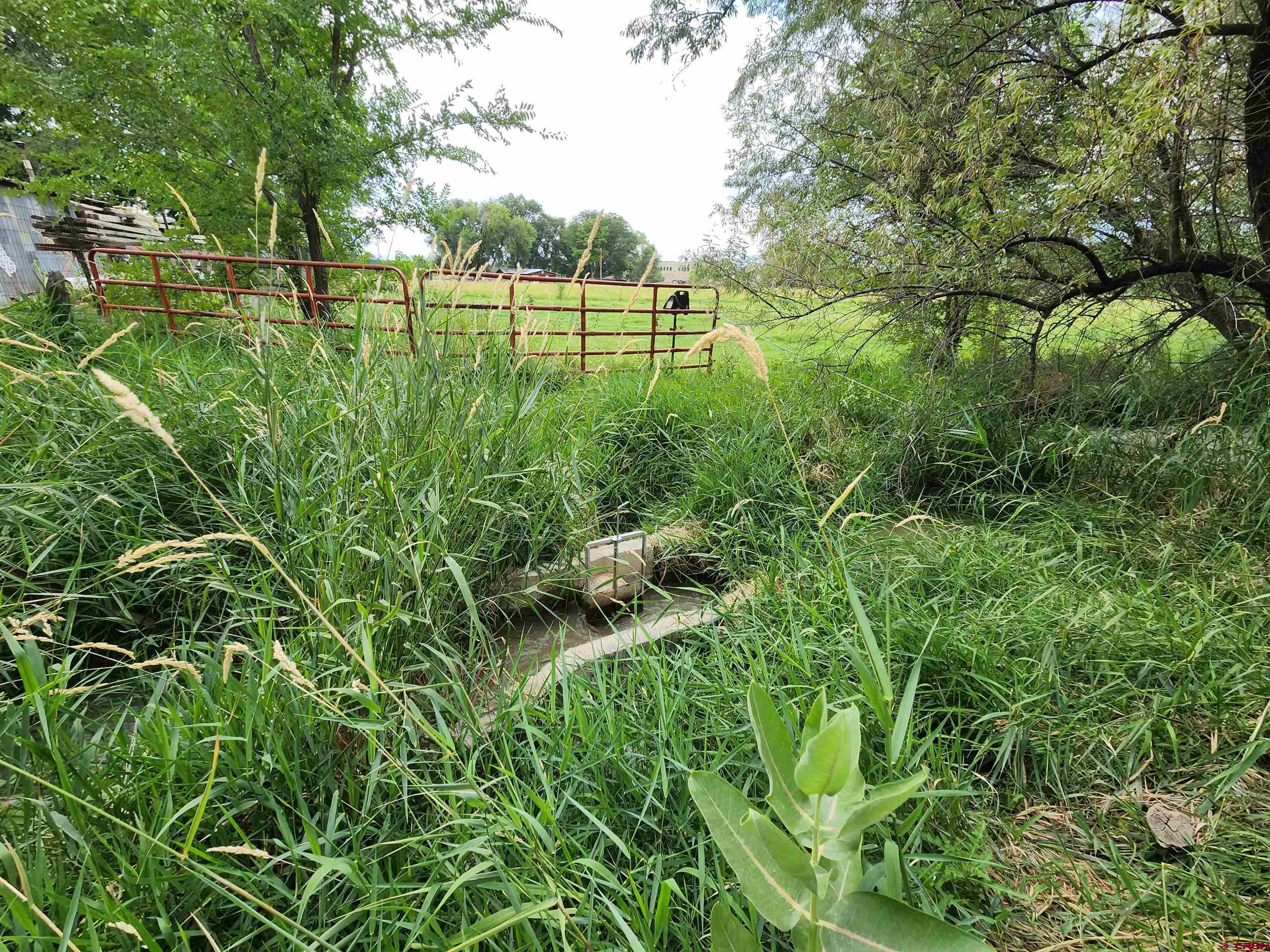 Tbd H Road Delta, CO 81416 - Photo 2 of 12 a view of a green field with plants