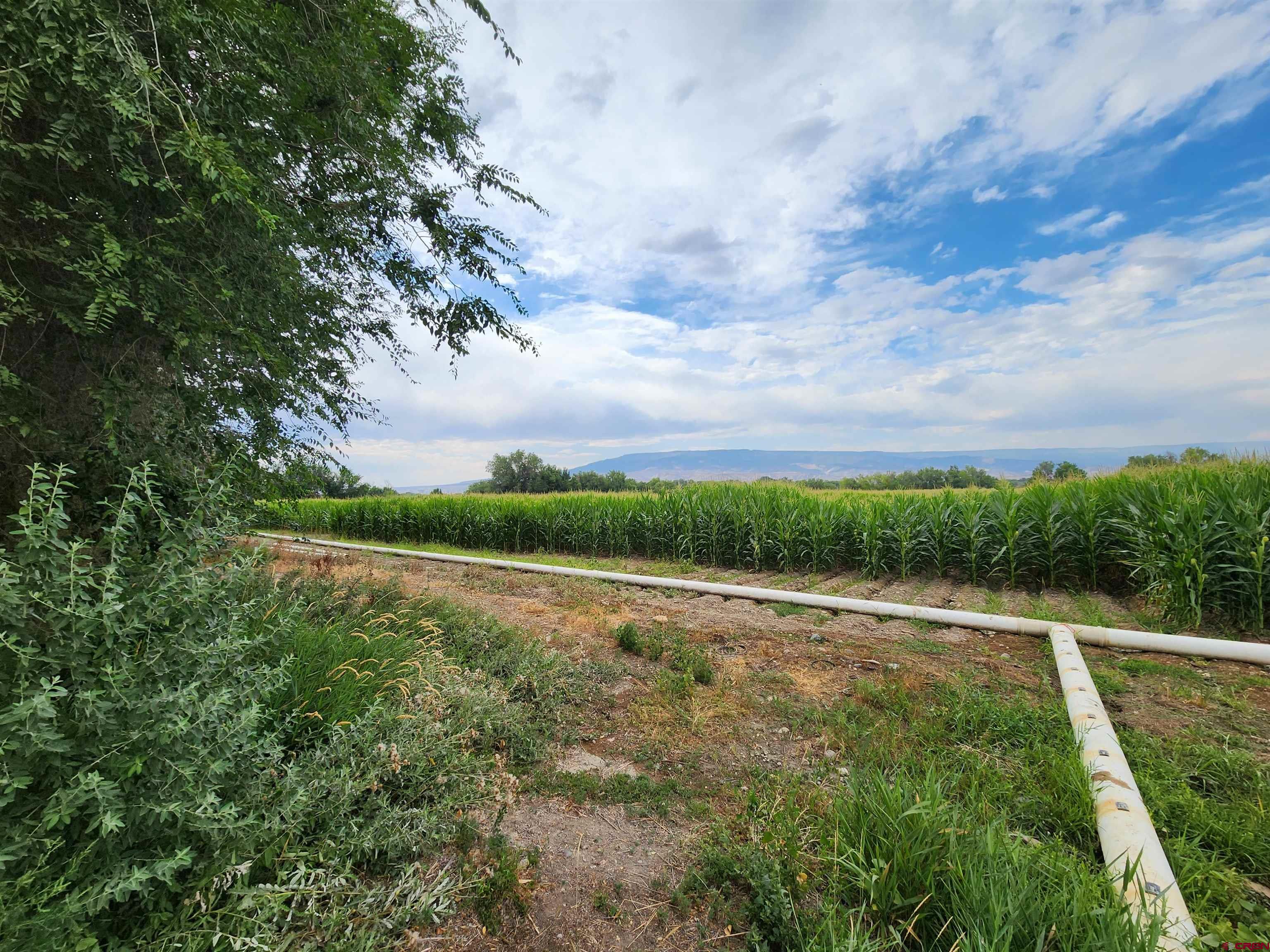 Tbd H Road Delta, CO 81416 - Photo 4 of 12 a view of outdoor space and yard
