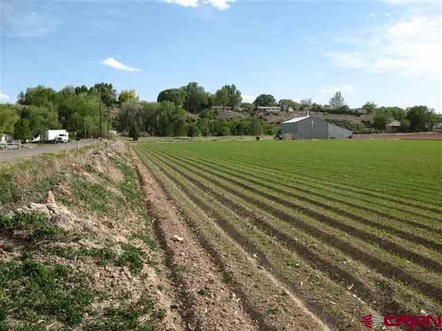 Tbd H Road Delta, CO 81416 - Photo 5 of 12 a view of a field with an trees