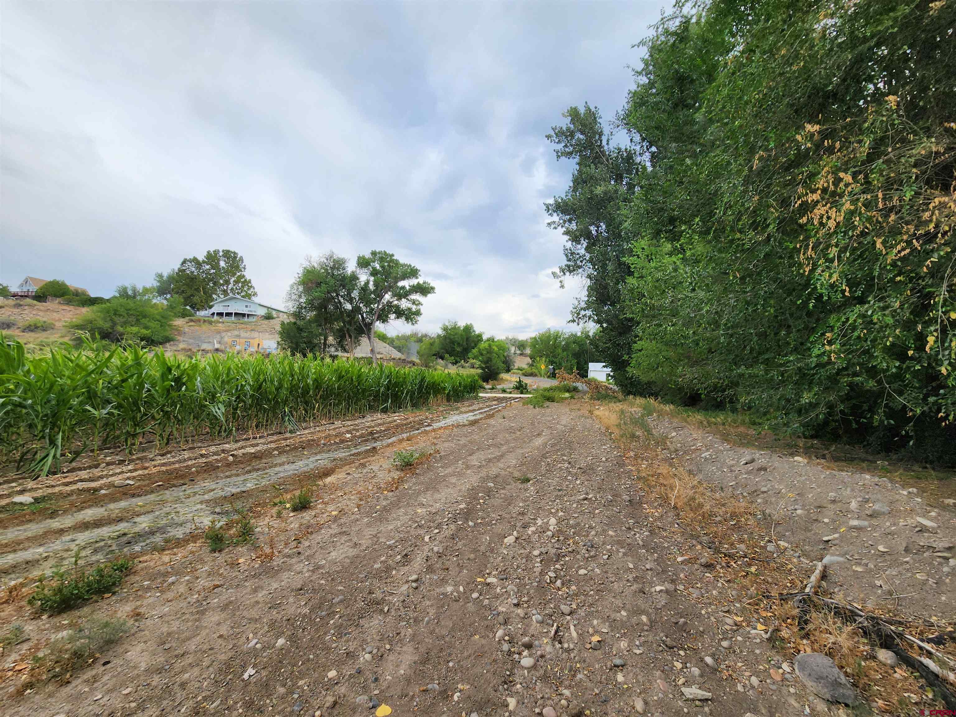 Tbd H Road Delta, CO 81416 - Photo 6 of 12 a view of a rural road with plants and trees
