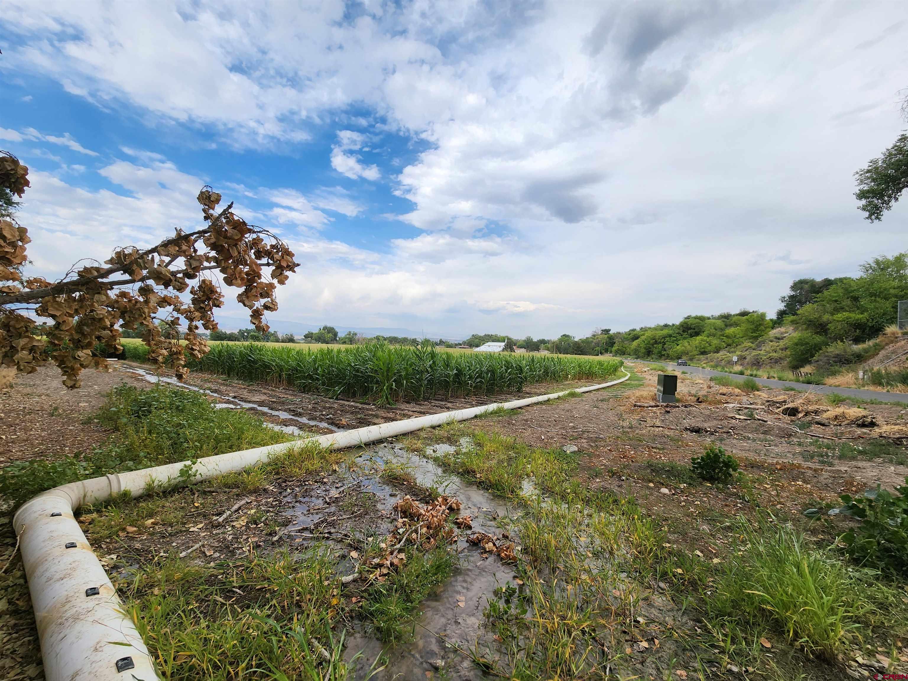 Tbd H Road Delta, CO 81416 - Photo 7 of 12 a view of a field with of a house in the background