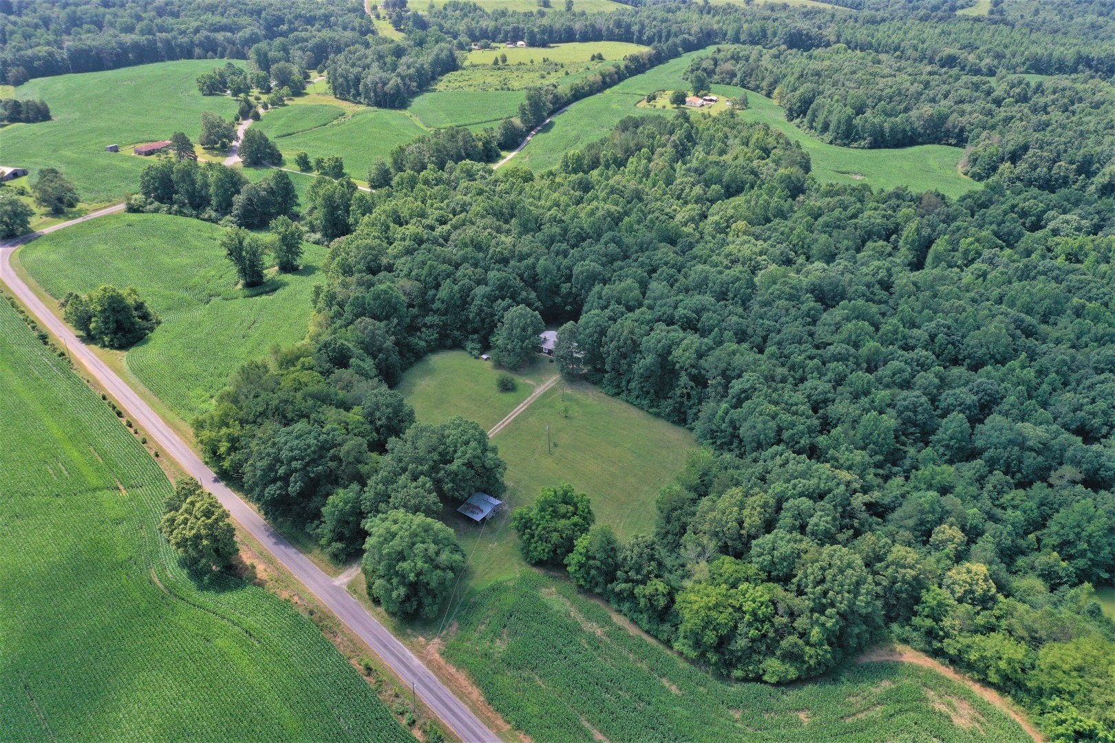 71 St Mary Road Loretto, TN 38469 - Photo 2 of 40