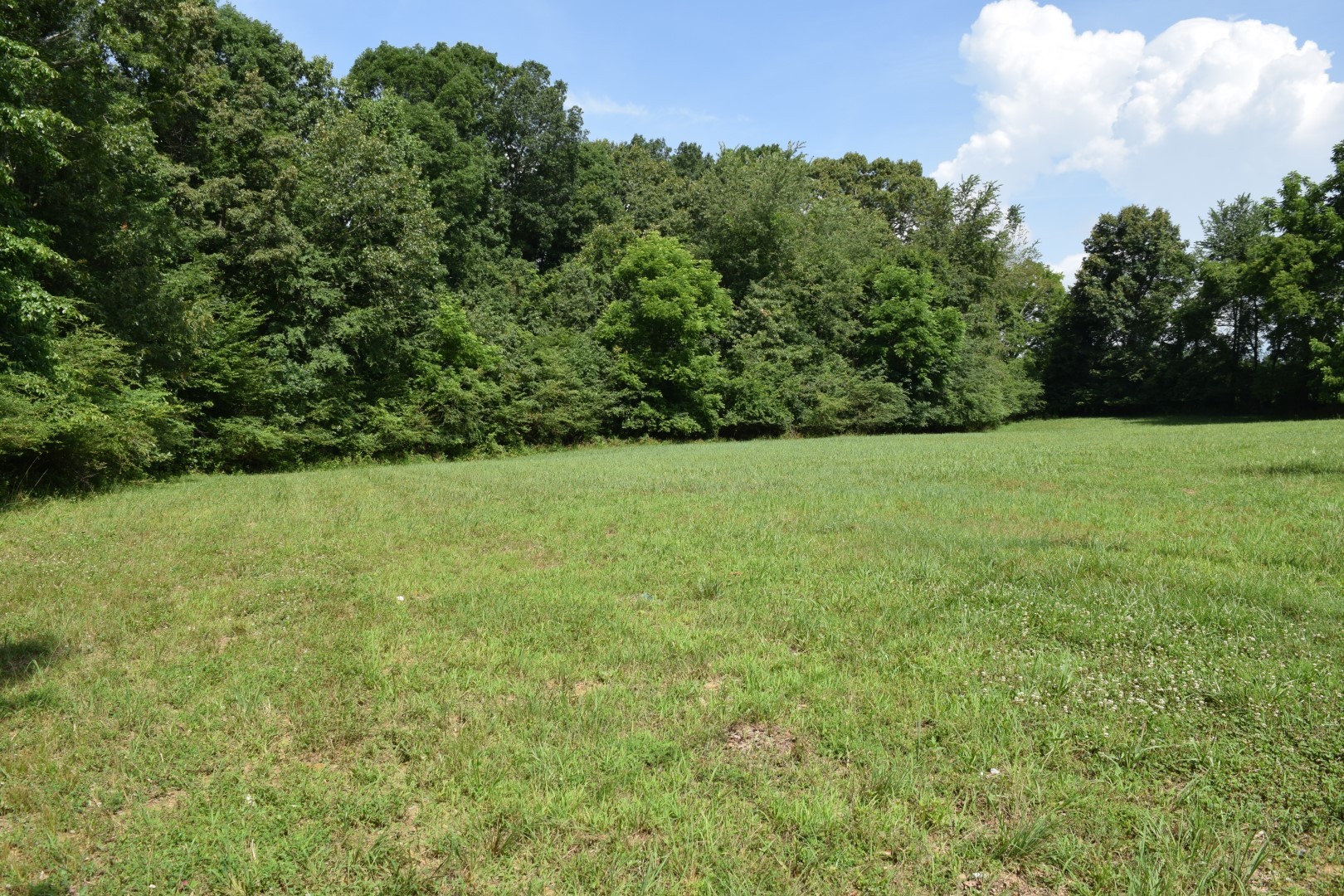 71 St Mary Road Loretto, TN 38469 - Photo 31 of 40