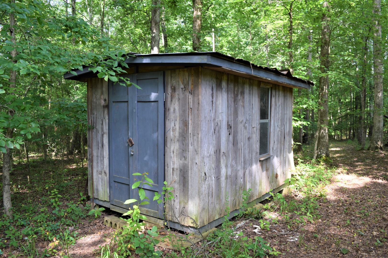 71 St Mary Road Loretto, TN 38469 - Photo 38 of 40