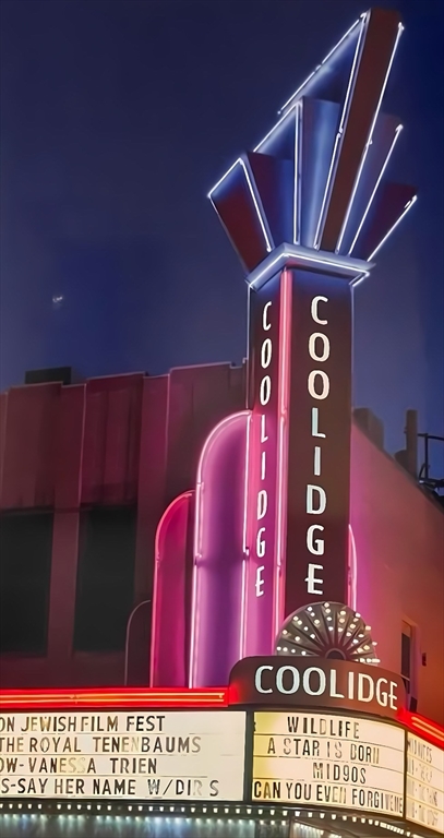 20 Webster Street, Unit 405 Brookline, MA 02446 - Photo 19 of 21