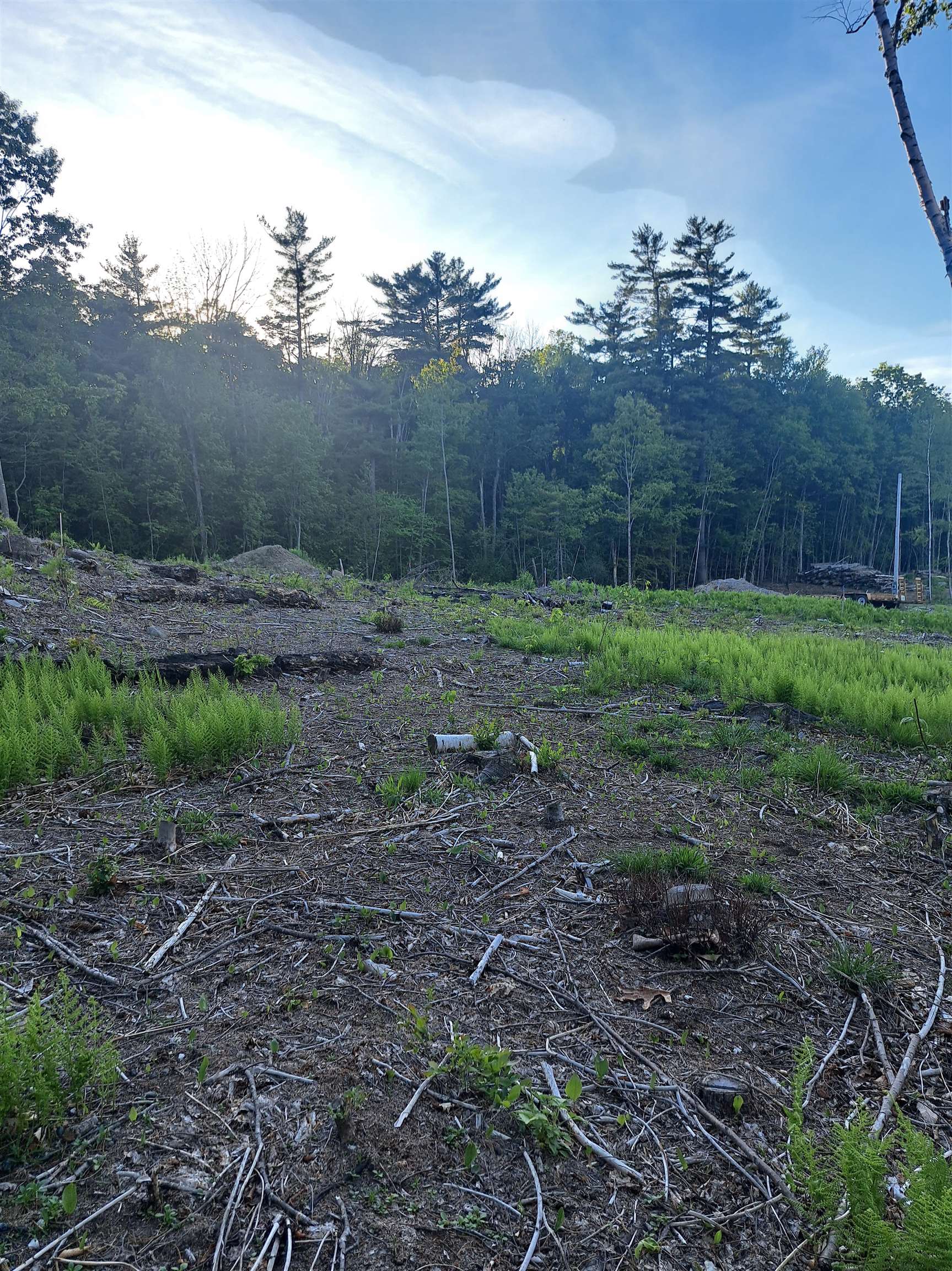 140 Great Road Jaffrey, NH 03452 - Photo 3 of 11