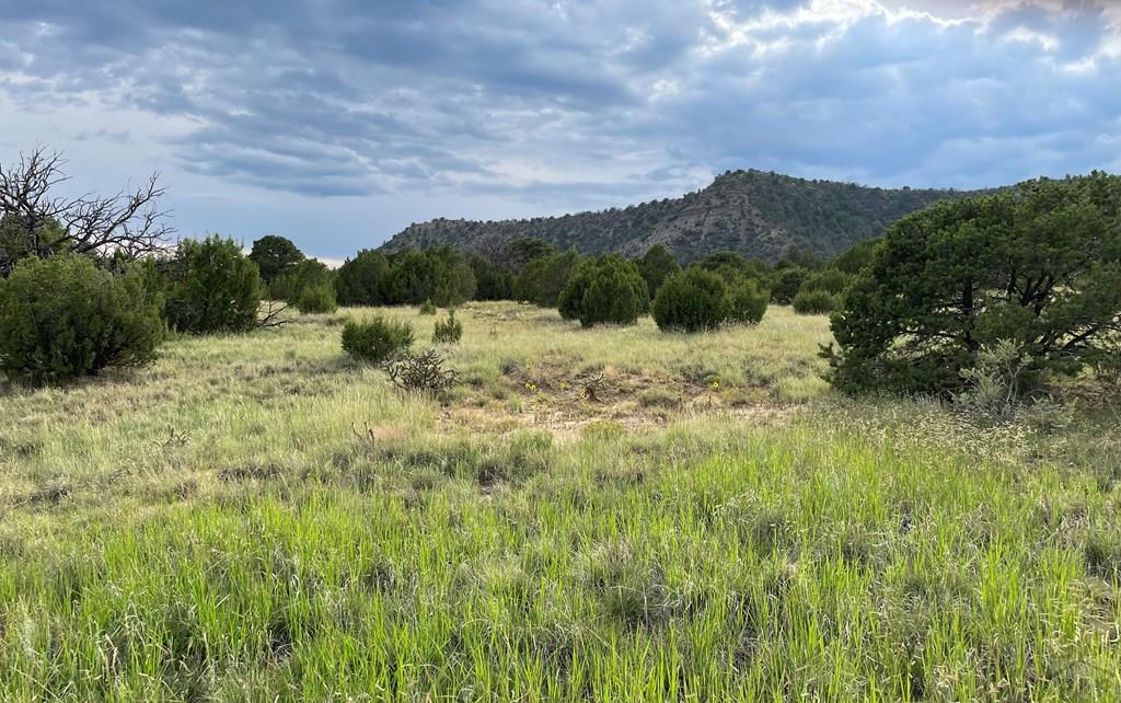 Tbd(#93 Rancho Verde Road Trinidad, CO 81082 - Photo 2 of 20 Gallery Image 2
