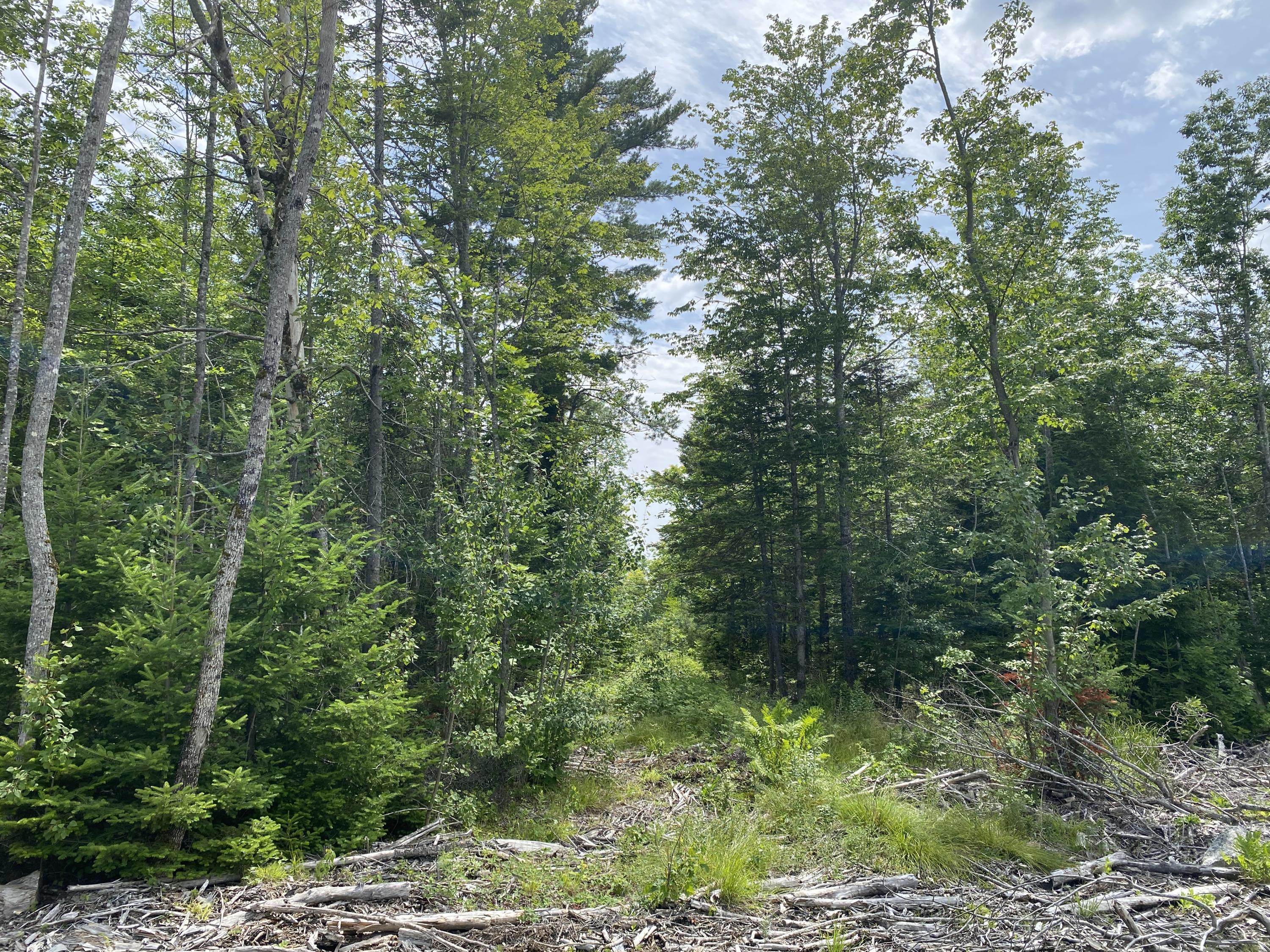 1511 Otis Road Ellsworth, ME 04605 - Photo 2 of 15 IMG_3899
