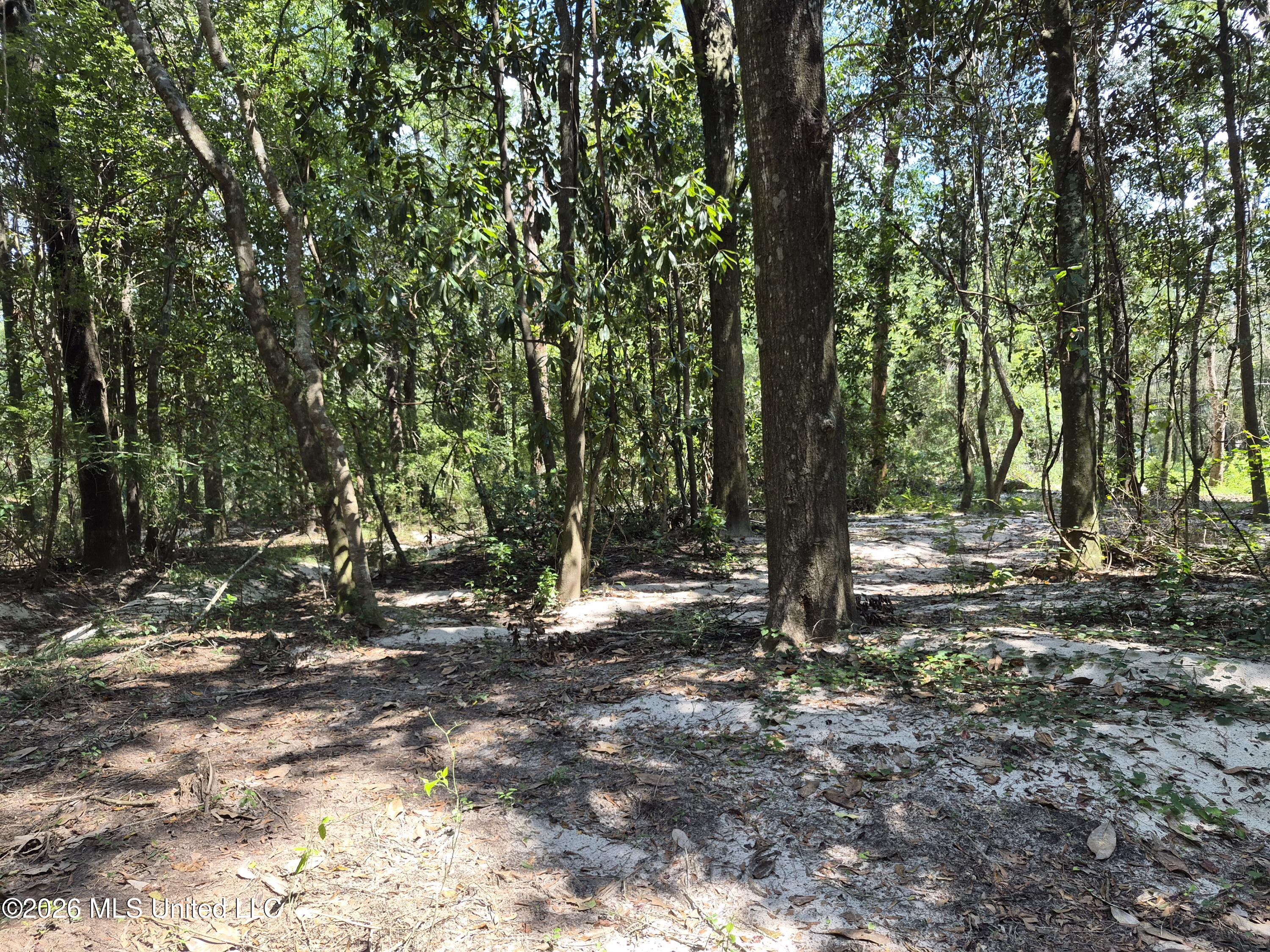 13756 River Road Gulfport, MS 39503 - Photo 76 of 93 Wooded West End