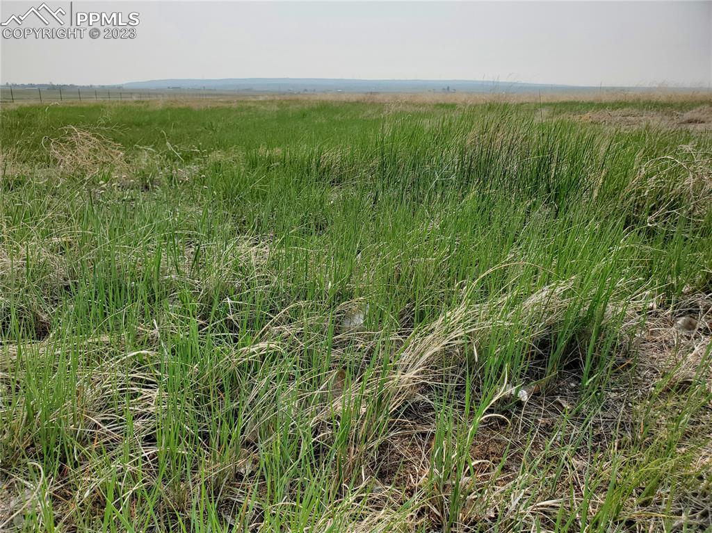 2 McClelland Road Calhan, CO 80808 - Photo 4 of 9 a view of a field with an outdoor space