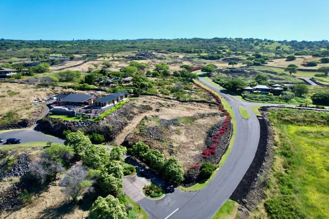 a garden with flowers in front of it