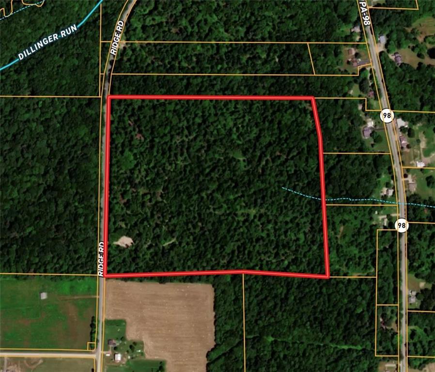 a view of a yard and potted plants