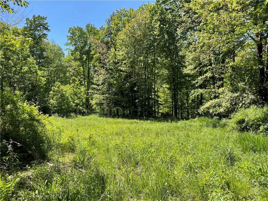 0 Ridge Road Meadville, PA 16335 - Photo 11 of 13