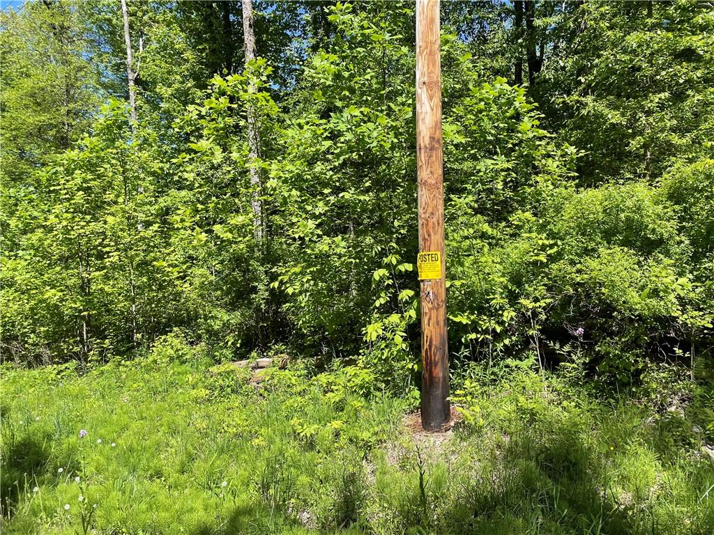 0 Ridge Road Meadville, PA 16335 - Photo 13 of 13 a view of forest