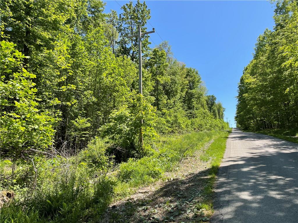 0 Ridge Road Meadville, PA 16335 - Photo 3 of 13 a close up of a plant in a garden