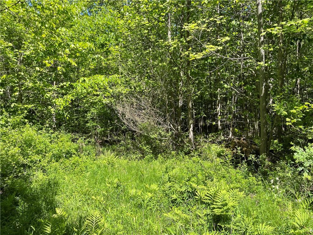 0 Ridge Road Meadville, PA 16335 - Photo 4 of 13 a view of a lush green forest