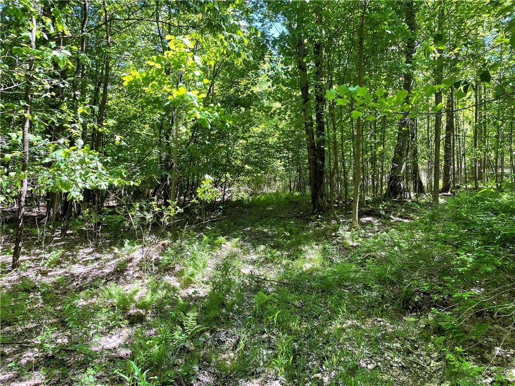 0 Ridge Road Meadville, PA 16335 - Photo 5 of 13 a view of outdoor space and trees