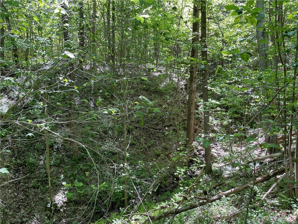 0 Ridge Road Meadville, PA 16335 - Photo 7 of 13 a view of a lush green forest