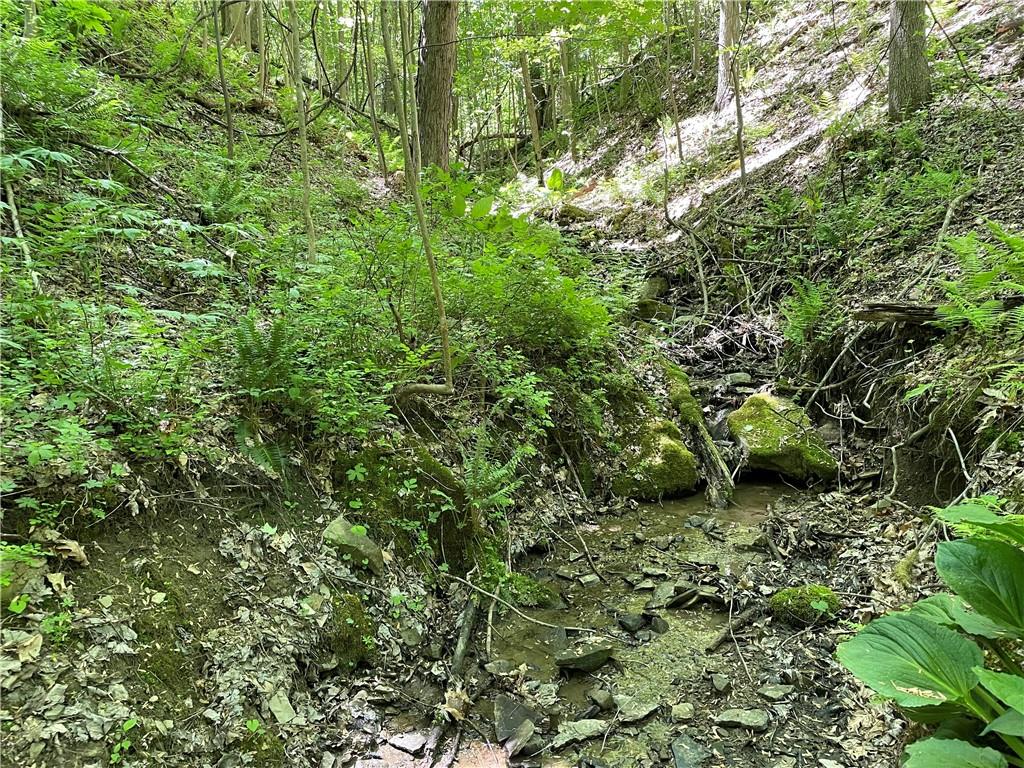 0 Ridge Road Meadville, PA 16335 - Photo 8 of 13 a plant view in a garden