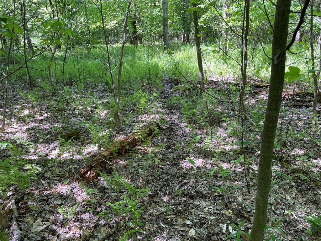 0 Ridge Road Meadville, PA 16335 - Photo 10 of 13 a view of outdoor space and green space