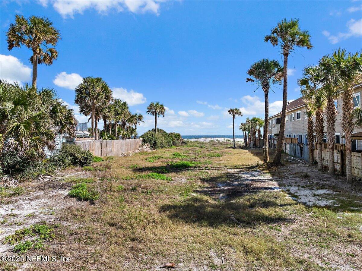 1039 Beach Avenue Atlantic Beach, FL 32233 - Photo 1 of 9 a view of a yard with a fountain