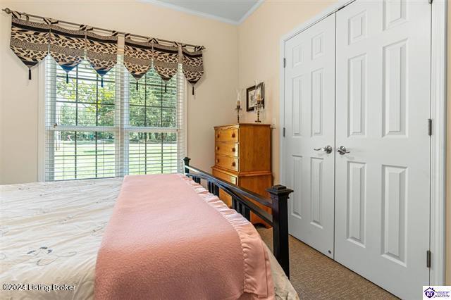 377 St Andrews Road Brandenburg, KY 40108 - Photo 23 of 53 23