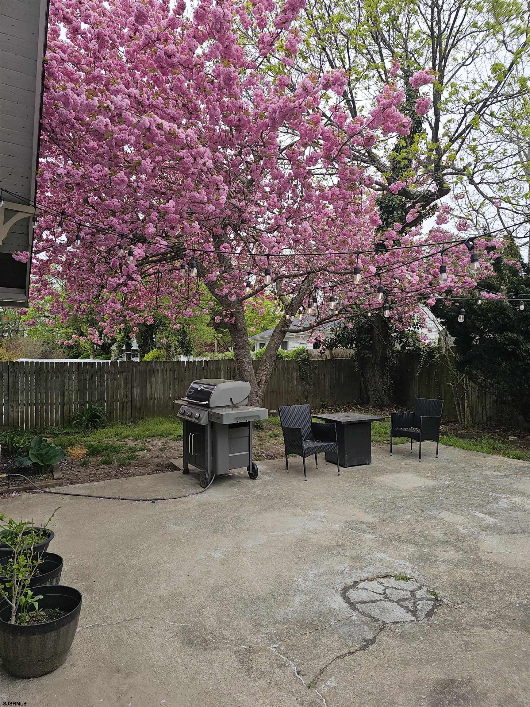 216 Marlin Road Absecon, NJ 08201 - Photo 3 of 20 a view of park with bench and trees