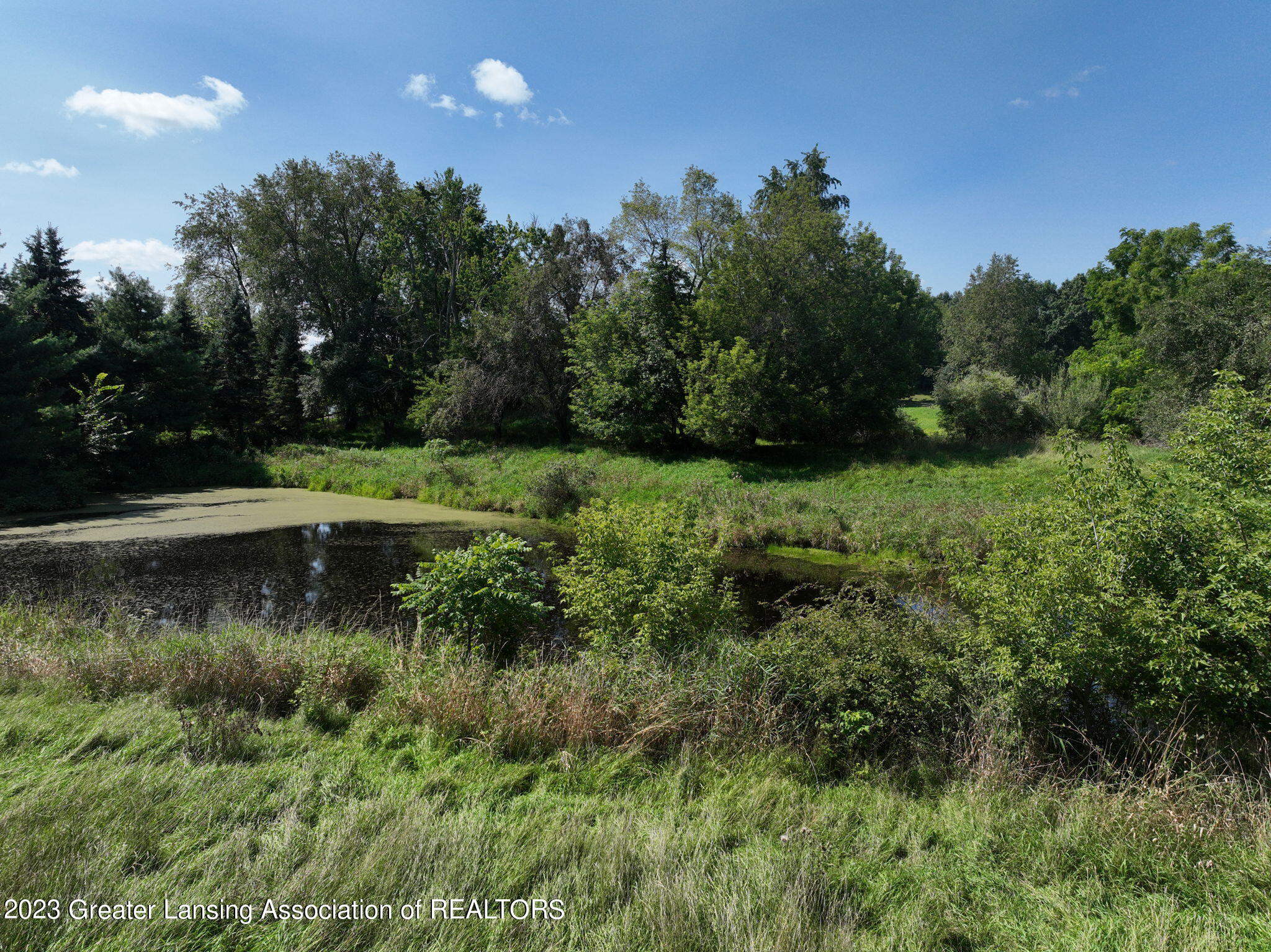 8140 East Cutler Road Bath, MI 48808 - Photo 74 of 90 18-web-or-mls-8140 Cutler (18)