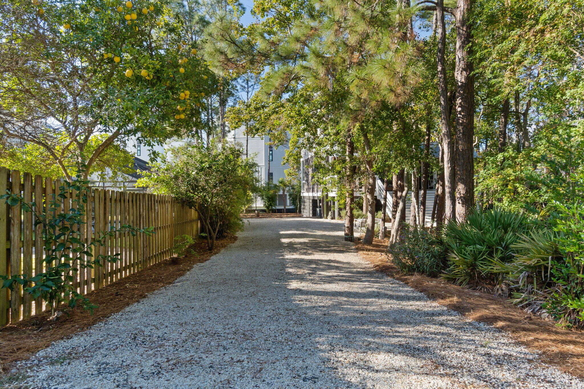 157 Baird Road Santa Rosa Beach, FL 32459 - Photo 2 of 93 a view of a park with large trees