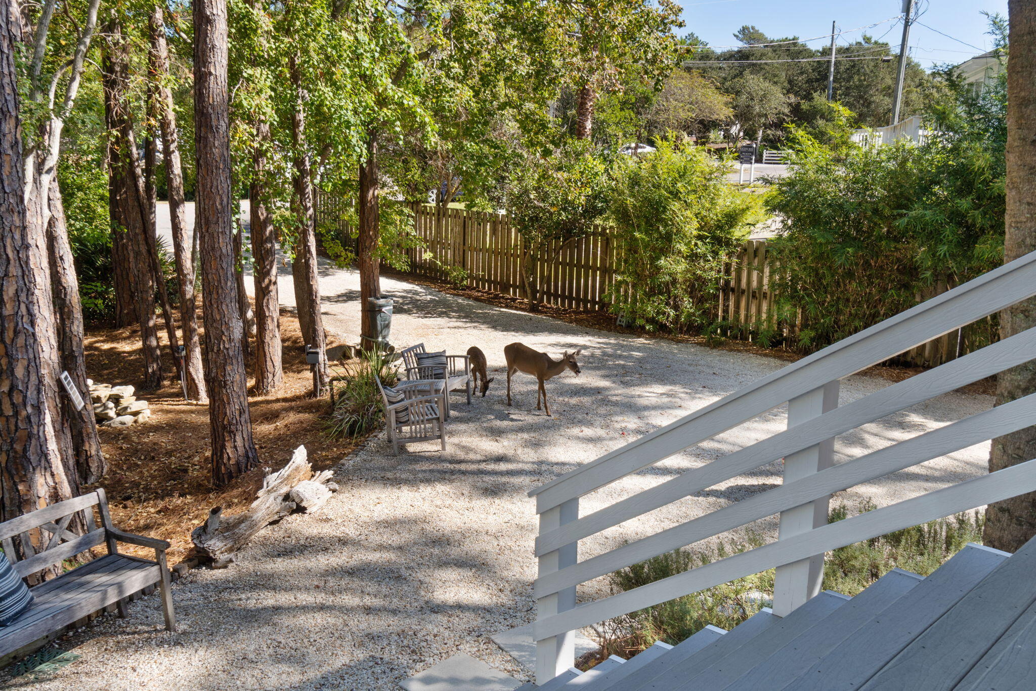 157 Baird Road Santa Rosa Beach, FL 32459 - Photo 69 of 93 a view of a patio with table and chairs and potted plants
