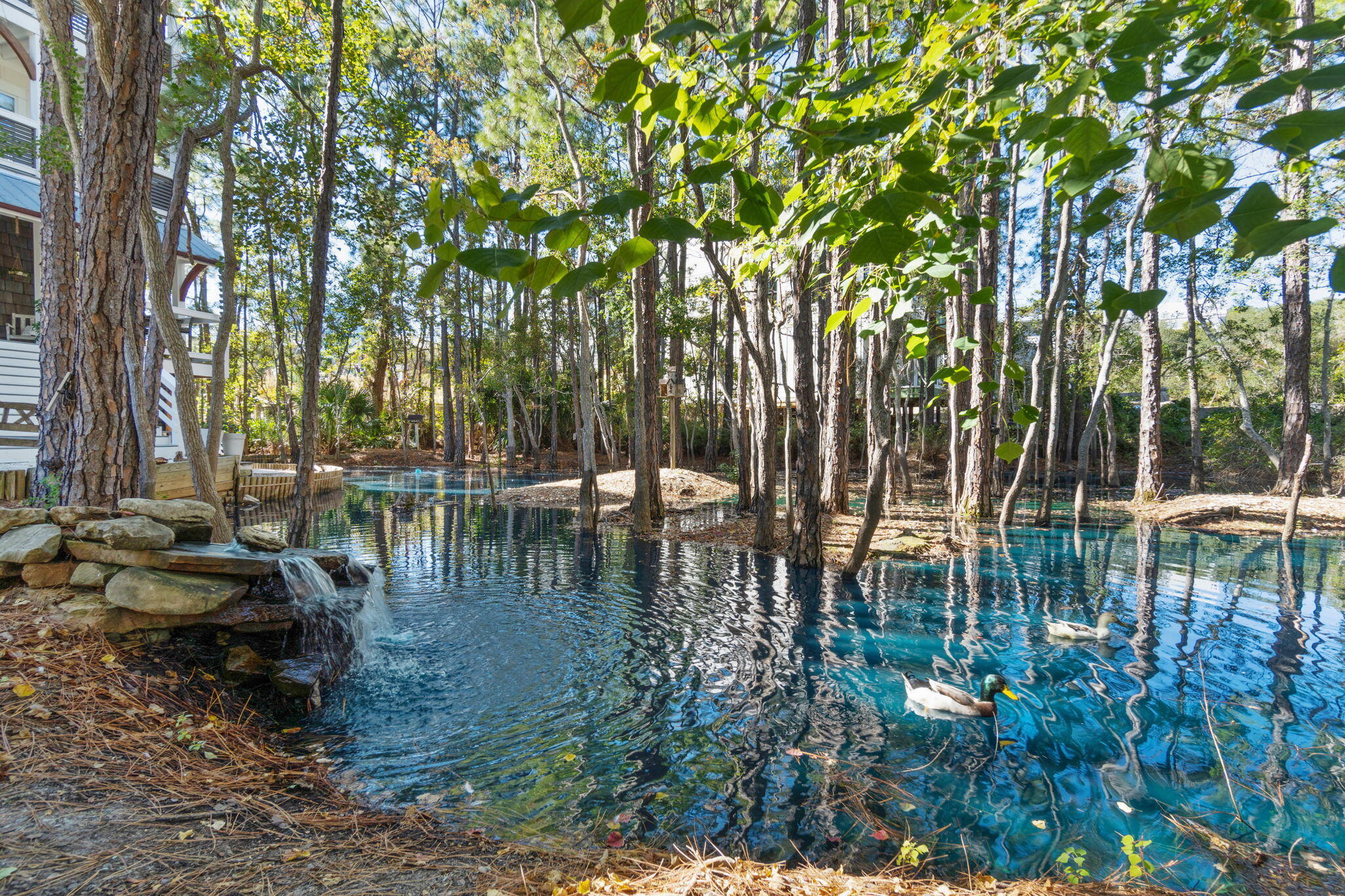 157 Baird Road Santa Rosa Beach, FL 32459 - Photo 77 of 93