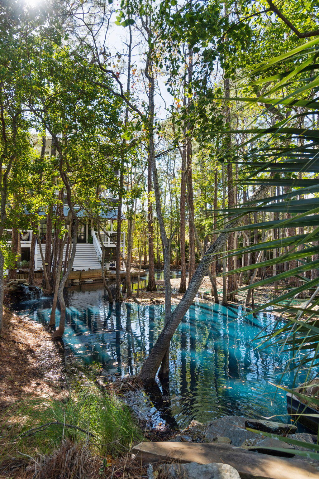 157 Baird Road Santa Rosa Beach, FL 32459 - Photo 79 of 93 a tree in the middle of garden