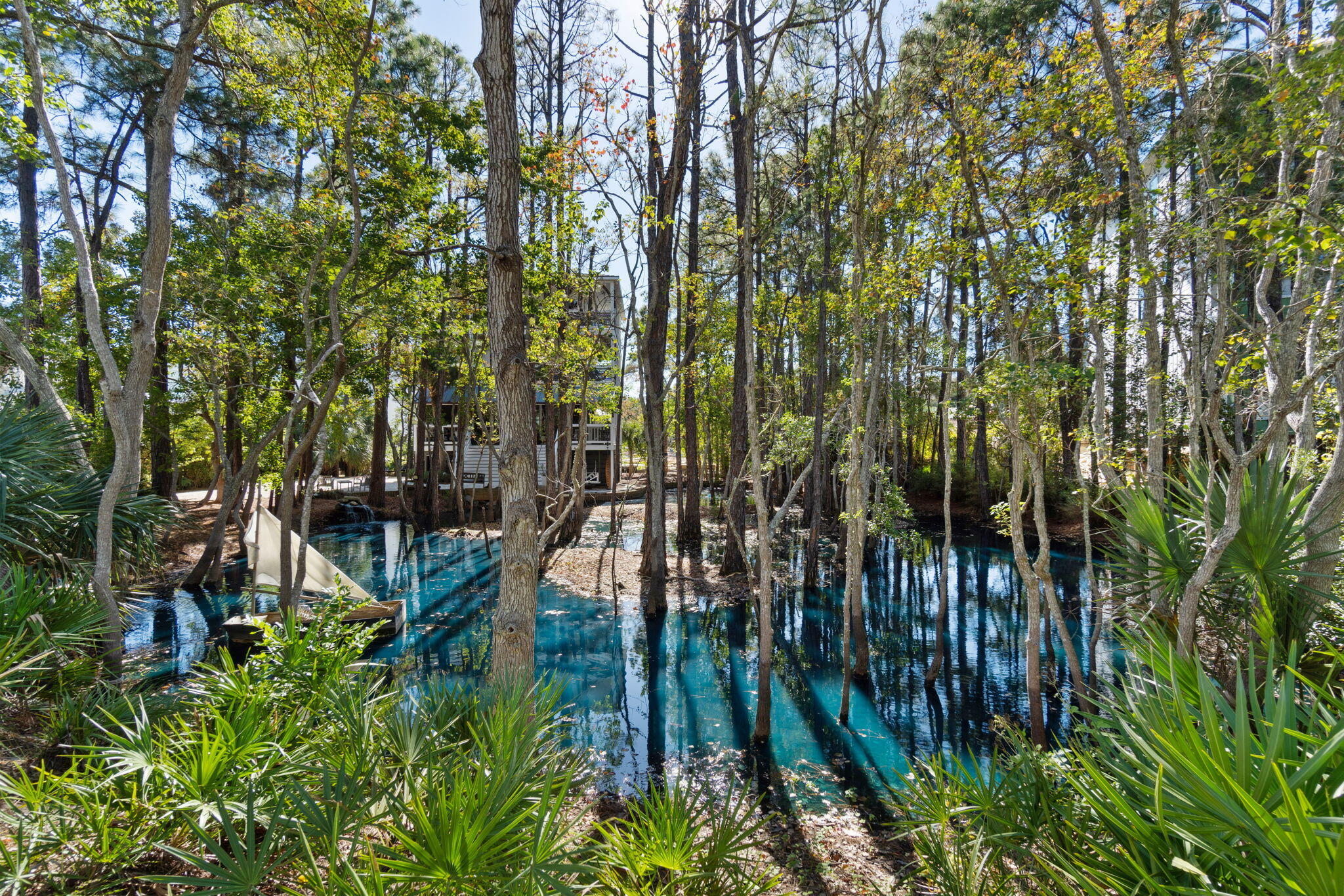 157 Baird Road Santa Rosa Beach, FL 32459 - Photo 80 of 93 a view of outdoor space and a yard
