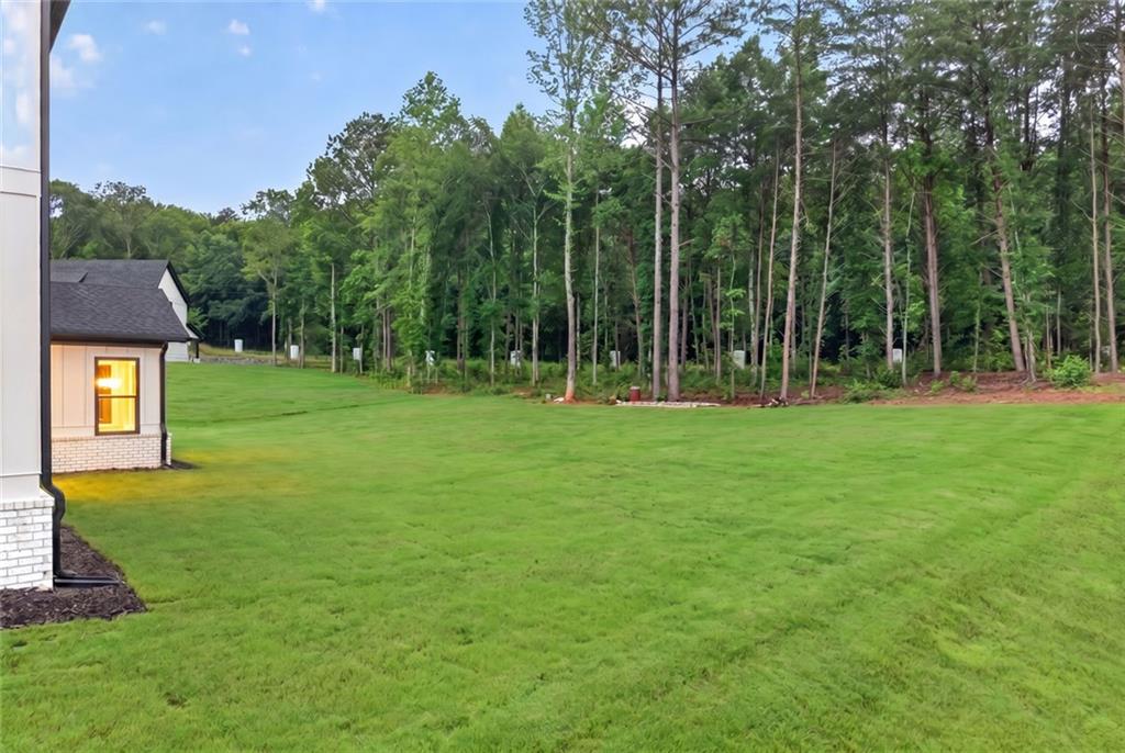 125 Rocky Rdg Way Auburn, GA 30011 - Photo 46 of 64