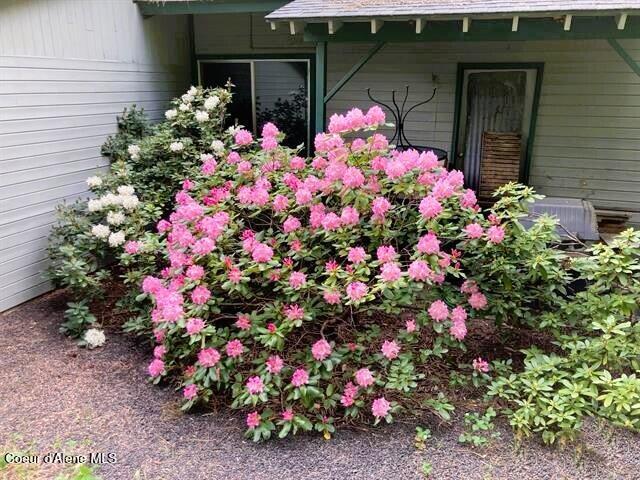 266 Falcon Ridge Road Kooskia, ID 83539 - Photo 14 of 50 14