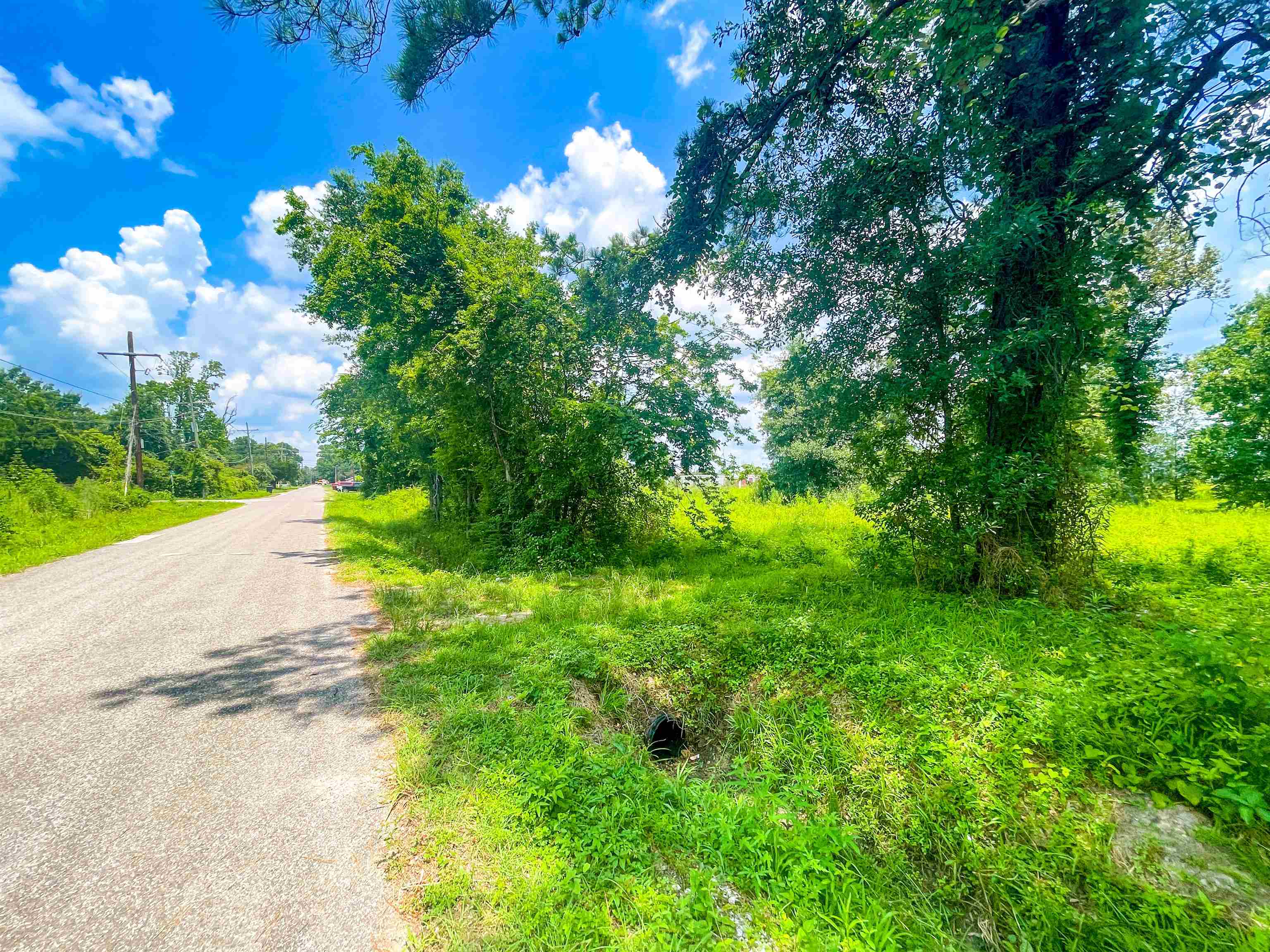 205 South Archie Street Vidor, TX 77662 - Photo 4 of 9